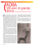 100 anni di grande