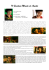 Il Favoloso Mondo Di Amelie