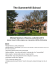 dossier sulla scuola di Summerhill