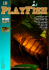 Playfish 19