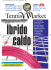 L`azienda - OkTennis Market