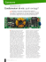 Visualizza Pdf