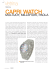 CAPRI WATCH - la Clessidra dal 1945