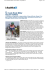 Si rivede Bode Miller Azzurri indietro