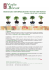 Benvenuti nell`affascinante mondo del Bonsai