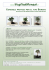 consigli pratici per il tuo bonsai