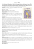 pdf - Donnafugata