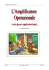 L`amplificatore operazionale