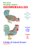 de gallo gallinaceo, et iis omnibus