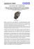 Il presente comunicato stampa in formato PDF