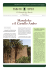 Maredolce e il Castello Arabo - Parco della Favorita Palermo