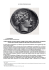 La storia di Rhegion ellenica