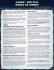 X-Wing formato EPIC 3.1 (ITA)