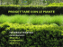 progettare con le piante - Architettura del Paesaggio