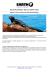 Scarica versione PDF