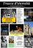 mirror - WordPress.com