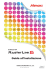 Guida all`installazione del Software RIP Mimaki Raster Link 6