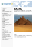 cairo - Amstel Italia