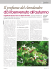 Il profumo del clerodendro - Agricoltura e pesca