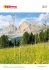 Magic DoloMites