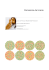 Percezione del colore