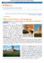 versione PDF
