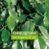idrocoltura - Hydro Ware