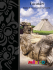 Yucatán - Mexico