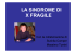 la sindrome la sindrome di la sindrome la sindrome di x fragile