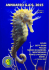 Annuario GAS 2015 - GAS - Gruppo Acquariofilo Salentino