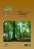 Rapporto stato foreste al 31 dicembre