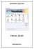 Visual BASIC