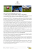 Hotel Belvedere Locarno I Primo Golf Trophy