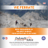 PROGRAMM SUMMER 2014. Pdf Format