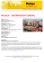 Guida Malaga - Hotel in Spagna