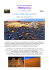 marocco 2014 - WordPress.com