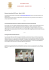 zacchera hotels news marzo – maggio 2013