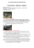 Tour Romania-Moldavia-Bulgaria_ complet