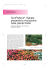 SunPatiens - Clamer Informa