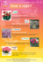 Pelargonium zonale Gen Carmen Impatiens walleriana Fiesta Pink
