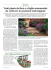 Venti piante da fiore o a foglia ornamentale da