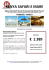 kenya safari e mare € 1.389