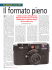 Leggi l`articolo completo in pdf