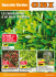 Speciale XXXX Speciale Garden