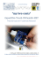PDF (Italiano-English)