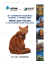 medicina felina