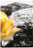 delle Rose - Le rose di Asfarm