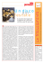 Biellenews 61