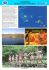 polinesia - Pan Pacific Tours
