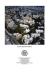 Report Scientifico 2013 - Istituto Giannina Gaslini